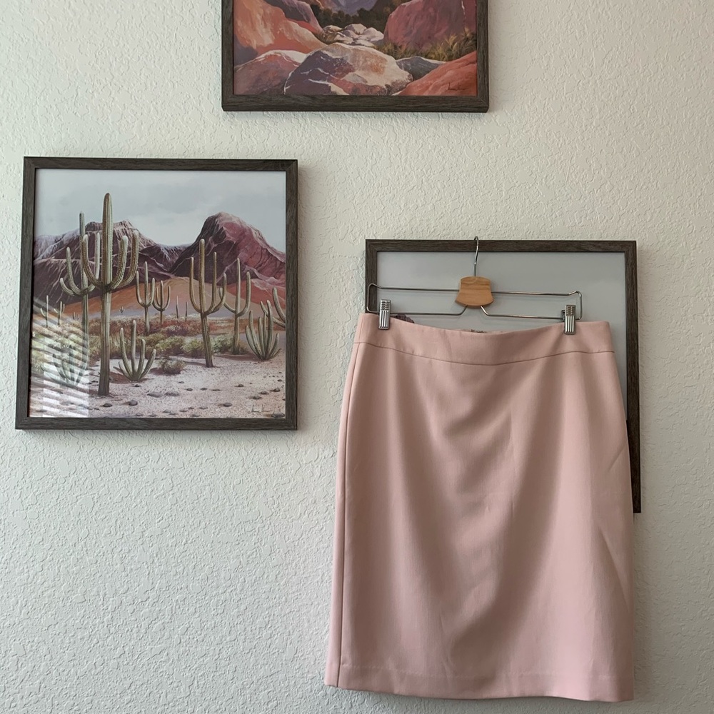 Ann Taylor Factory Pencil Skirt